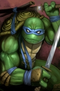 miniatura obrazka z bajki Wojownicze żółwie ninja z wojownikiem Leonardo